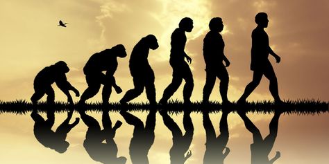 Is evolutionary psychology a scientific revolution or an evolving paradigm? Evolutionary Psychology, Science Models, Scientific Revolution, Psychology Research, Psychology Studies, Cognitive Science, Paradigm Shift, Women Leaders, Psychiatry