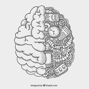 Need help studying or just learning something new? We can help keep that memory sharp! Brain Illustration, Brain Art, Doodle Art Drawing, Anatomy Art, 그림 그리기, Drawing Inspiration, Doodle Art, Drawing Sketches, Pencil Drawings