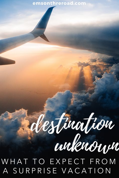 Are you brave enough to take a surprise vacation? Find out what to expect from a surprise trip with Pack Up & Go a surprise travel agency. #surprisevacation #destinationunknown Vacation Board, Surprise Vacation, Destination Unknown, Pack Up And Go, Elephant Ride, 2024 Goals, Vacation Goals, Last Moment, Unique Travel