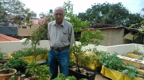 Dr. Viswanath Kadur, the pioneer of terrace gardening in India, tells us all we need to know to get a lush green space and grow organic veggies on our very own terrace! Garden Ideas India, Terraced Vegetable Garden, Terrace Gardening, Garden Design Pictures, Fenced Vegetable Garden, Terraced Backyard, Terrace Garden Ideas, Small Balcony Garden, Terrace Garden Design