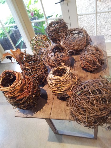 Random weave twig baskets by Austrailian sculptor and fibre artist, Harriet Goodall Harriet Goodall, Coil Weaving, Twig Basket, Fibre Artist, Twig Crafts, Contemporary Baskets, Birds Nests, Twig Art, Willow Weaving