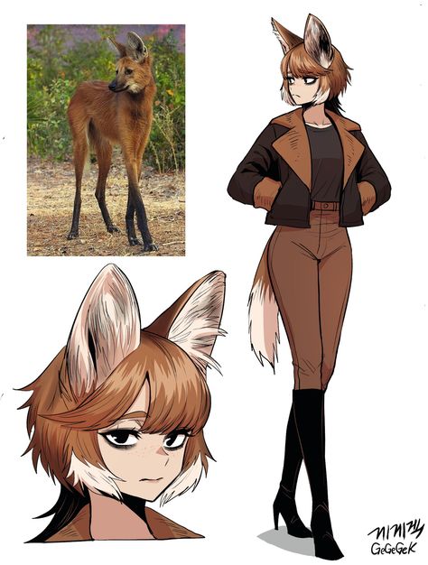 Maned Wolf, Wolf Character, Hybrid Art, Demi Human, Fox Girl, Fantasy Creatures Art, Anime Animals, Cute Characters, Art Plastique