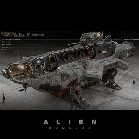 Matthew Savage | Alien Romulus: Developing the design of the exterior ship and the interior spaces was an intrinsic task and one of the things I enjoyed the… | Instagram Xenomorph Facehugger, Aliens Colonial Marines, Giger Alien, Atlantis The Lost Empire, Alien Ship, Spaceship Interior, Star Wars Spaceships, Space Ship Concept Art, Futuristic Armour