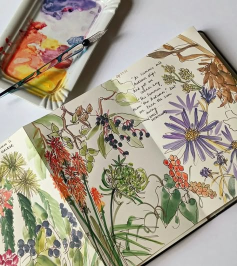 Orange Song, Wild Carrot, Seed Heads, Art Diary, Arte Sketchbook, Arte Inspo, Alphonse Mucha, Gustav Klimt, Art Journal Inspiration