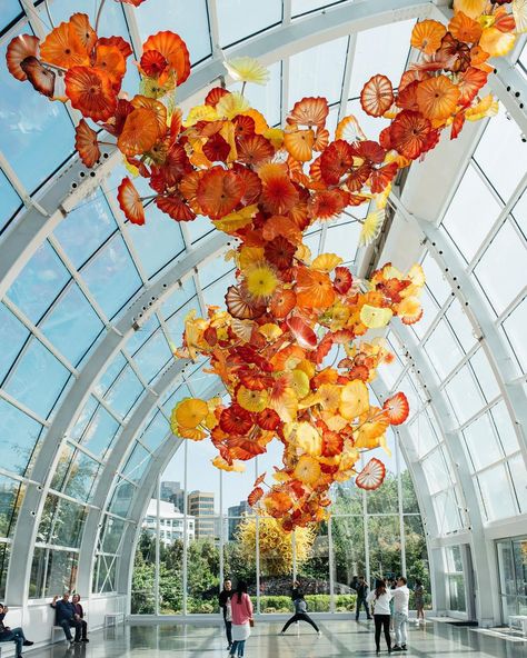 America’s Most Stunning Museums to Visit This Summer | Chihuly Garden and Glass Seattle Pictures, Chihuly Garden, Garden Front Of House, Seattle Photos, Seattle Photography, The Emerald City, Seattle Travel, Lake Union, Glass Museum