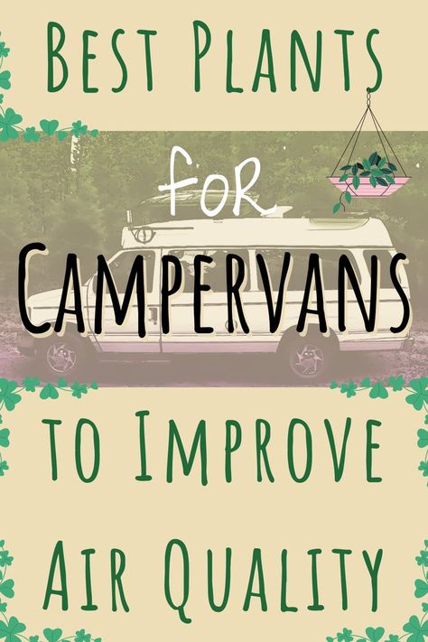 These are my tops picks for the best plants for campervans.  They are great additions to vanlife because they are small, require little watering and sunlight, and can even improve indoor air quality. #plants #air #quality #vanlife #campervan Air Quality Plants, Project Life Storage, Diy Storage Building, Happy Bus, Best Campervan, Interior Design Plants, Camper Interior Design, Camper Van Life, Minimal Light