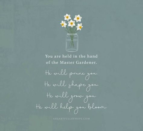 Garden Bible Verses, Bible Verses About Flowers, Garden Verses, Verses About Flowers, Flower Scripture, Savior Quotes, Spring Bible Verses, Kingdom Mindset, Bible Verses About Beauty