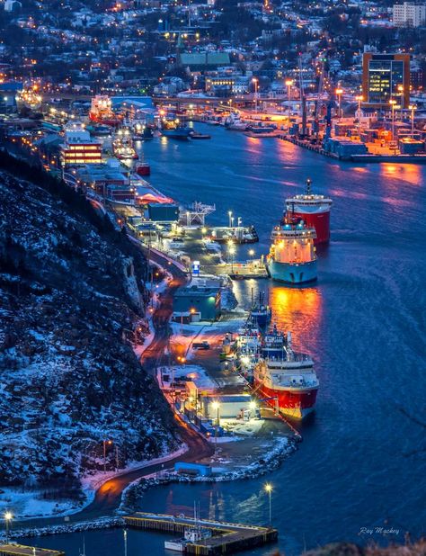 🇨🇦St. John’s, NL ❤️ #newfoundland... - Adrian Reyno Braza Newfoundland Travel, Labrador Canada, Newfoundland Canada, Vision Board Photos, Explore Canada, Newfoundland And Labrador, St Johns, Dream City, Canada Travel