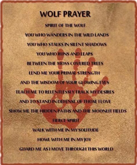 Native American Quotes, Native Quotes, Lone Wolf Quotes, Native American Prayers, Funeral Quotes, Native American Spirituality, American Quotes, Native American Wisdom, Indian Quotes