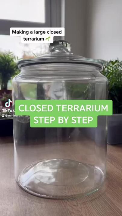 Water Terrarium Diy, Closed Water Terrarium, Terrarium Substrate Layers, How To Make A Water Terrarium, Starting A Terrarium, Closed Jar Terrarium, Planterium Diy Terrarium, Closed Moss Terrarium, Rolly Polly Terrarium