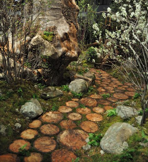 Wood slice garden path Wooden Path, Walkway Design, Tree Slices, Stone Path, Garden Show, Garden Pathway, Wood Slices, Garden Paths, Dream Garden