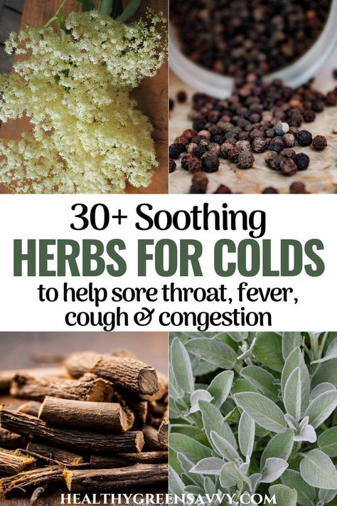 Herbs For Sore Throat, Herbs For Cough, Herbs For Colds, Remedies For Congestion, Help Sore Throat, Tea For Cough, For Sore Throat, Throat Remedies, Sore Throat Remedies