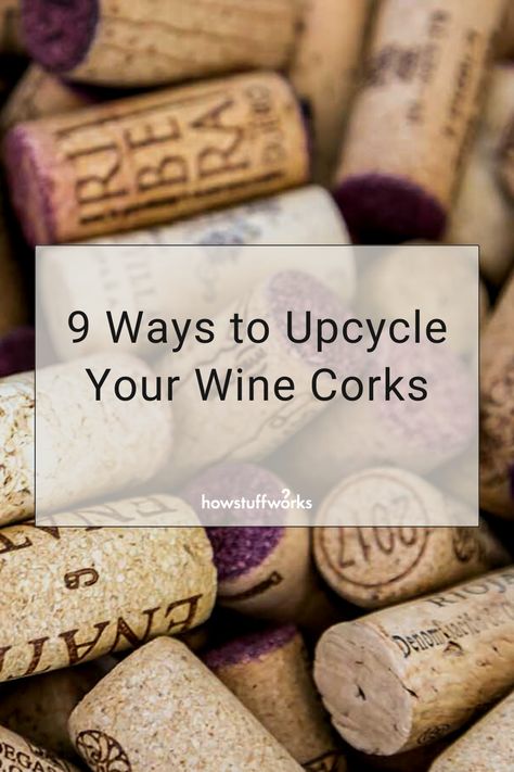 If you love wine, you probably have a ton of wine corks around the house. No matter if they're composite, synthetic or natural cork, it's absolutely possible to breathe life into each one of those little guys Wine Cork Birdhouse, Upcycled Wine Corks, Cork Planters, Chip Clips, Wine Bottle Corks, Fishing Bobber, Plant Labels, Bottle Corks, Wine Corks