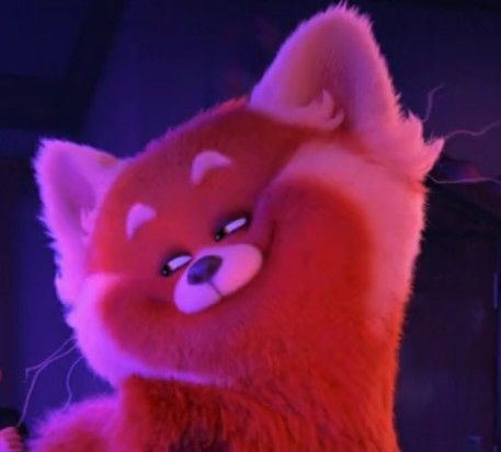 Turning red meme Turning Red Disney Memes, Turning Red Funny, Turning Red Icon, Turning Red Wallpaper, Red Pixar, Turning Red Panda, Panda Meme, Meilin Lee, Mei Lee