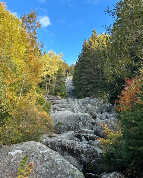 If u see motor-bikers “lost” in nature it’s us 😅 Can you imagine this place almost right in the city?🥹 it’s very close to Sofia, Bulgaria �🇧🇬 and from the top of this Vitosha mountain there is an amazing view of the city ❤️‍🔥 Bulgaria Rose Valley, Bulgaria Mountains, Rhodope Mountains Bulgaria, Vitosha Mountain Sofia Bulgaria, Belogradchik Bulgaria, Bulgaria, Sofia, Canning