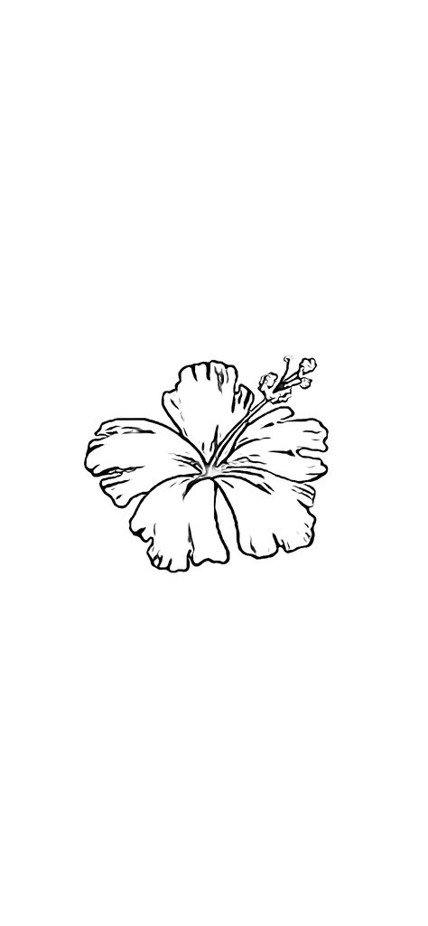 Hibiscus Flower Tattoos Black And White, Ankle Tattoo Hibiscus Flower, Hibiscus Tattoo Design For Women, Tattoos On White Background, Hibiscus Vine Tattoo, Jamaica Inspired Tattoos, Gumamela Tattoo, Gumamela Flower Tattoo, Hibiscus Tattoo Stencil