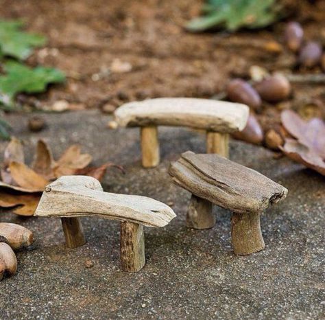 Miniature Garden Idea-so cute! Like little chairs Driftwood Bench, Fairy Garden Furniture, Fairy Garden Crafts, Fairy Garden Designs, Miniature Fairy Garden, Fairy Furniture, Faeries Gardens, Mini Fairy Garden, Fairy Crafts