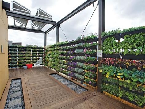 Roof Garden Design, Buying House, Rooftop Terrace Design, Rooftop Design, Fence Landscaping, Terrace Design, Vegetable Garden Design, Rooftop Garden, Backyard Fences