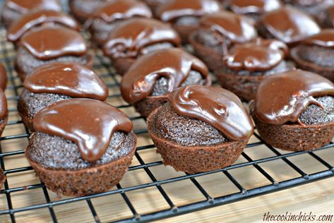 Texas Sheet Cake Bites Texas Sheet Cake Bites, Sheet Cake Bites, The Cookin Chicks, Chocolate Fudge Frosting, Texas Sheet, Texas Sheet Cake, Chocolate Sheet Cake, Homemade Chocolate Cake, Cake Muffins