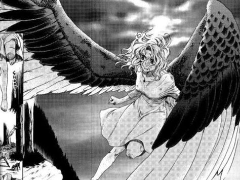 Fang Maximum Ride, Maximum Ride Manga, Winged People, Gallagher Girls, City Of Ashes, Anatomy References, Maximum Ride, Jace Wayland, Character Types