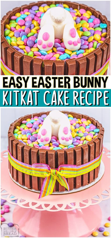 Easter Bunny Desserts, Easter Themed Cakes, Easter Desserts Cake, Bunny Desserts, Holiday Finger Foods, Easter Cake Easy, Easter Basket Cake, Easter Cake Decorating, Chocolate Easter Cake