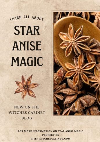 How to work with star anise magic properties in the kitchen and in ritual. Anise Magical Properties, How To Make Anise Extract, How To Use Star Anise, Star Anise Magical Properties, Star Anise Recipes, Star Anise Benefits, Anise Recipes, Sindhi Food, Kitchen Witchcraft