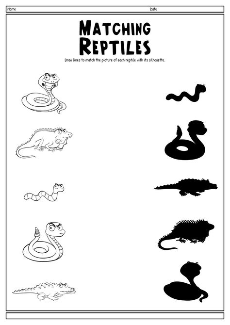 Rainforest Animal Activities, Reptiles Worksheets For Preschool, Reptile Worksheets Free Printable, Reptile Kindergarten Activities, Reptiles Worksheets For Kindergarten, Reptiles Preschool Free Printables, Rainforest Worksheets Preschool, Reptile Worksheets Preschool, Reptiles Theme Preschool Activities