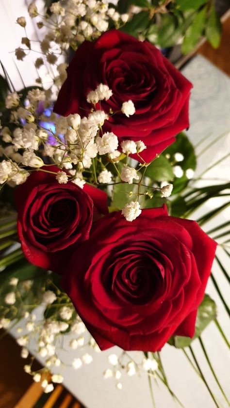 Backgrand Instagram, Red Rose Bouquet Wedding, Flowers Dp, It Is Love, Rose Flower Photos, Love Rose Flower, Red Roses Wallpaper, Red Rose Bouquet, Beautiful Red Roses