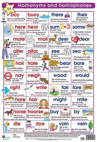 Homonyms and Homophones | attanatta | Flickr English Homophones, English Poster, English Tips, Esl Teaching, English As A Second Language, Anchor Chart, English Language Learning, English Writing, Language Teaching