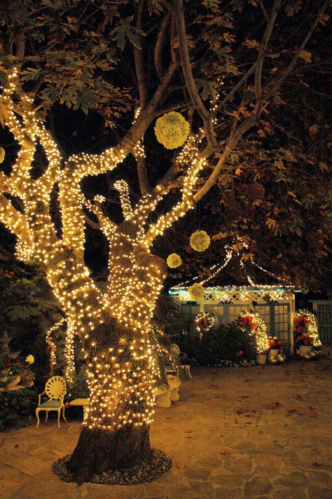 halloween tree lights - Google Search Outdoor Lighting Ideas Backyards, Lights Outdoors, Hanging Tea Lights, Farmhouse Style Lighting, Secret Party, Mobile Coffee, Goth Garden, Garden Wallpaper, Party Garden