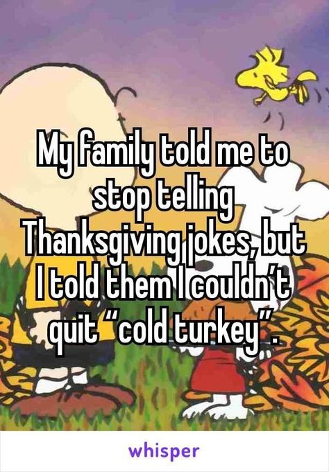 Funny Thanksgiving Pictures, Turkey Jokes, Thanksgiving Meme, Thanksgiving Jokes, Georgia Us, Holiday Jokes, Fall Humor, Family Jokes, Thanksgiving Pictures