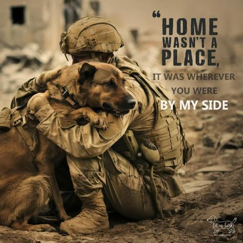 Soldier Quotes, Dog Soldiers, Army Dogs, Dog Hero, Malinois Dog, Military Dog, Military Quotes, German Shorthair, Military Dogs