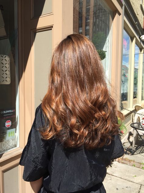 Honey Brown Hair, Hair Color Light Brown, Brown Hair Balayage, Hair Inspo Color, Hair Envy, Light Brown Hair, Brown Hair Colors, Brunette Hair, Aesthetic Hair