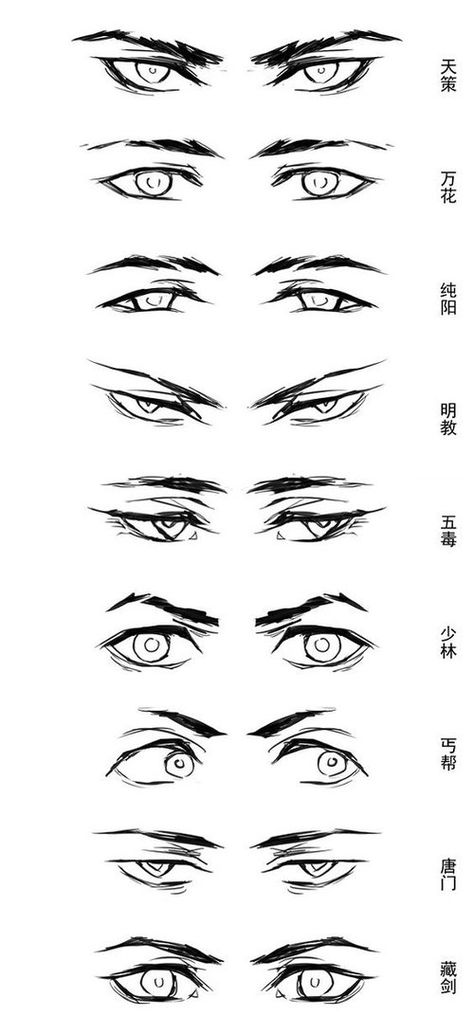 Character Anatomy | Eyes Drawing Eyes, Lashes Art Drawing, Mata Manga, Regard Animal, Eye Anatomy, 얼굴 드로잉, Eye Drawing Tutorials, Drawing Tutorial Face, Eye Sketch