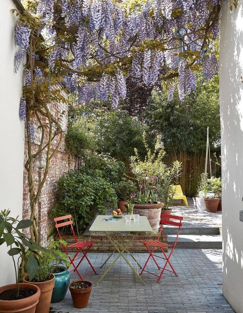 Small Courtyard Gardens, 수채화 그림, City Garden, Flowers Wallpaper, Courtyard Garden, Decor Minimalist, Outdoor Dining Area, Garden Cottage, Back Garden