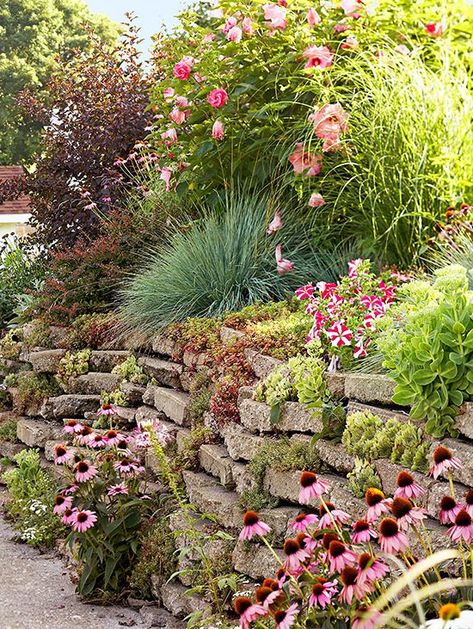 Landscaping A Slope, Garden Problems, Courtyard Gardens, Landscape Plants, Hillside Landscaping, Garden Solutions, Sloped Garden, Gardens Design, Easy Landscaping