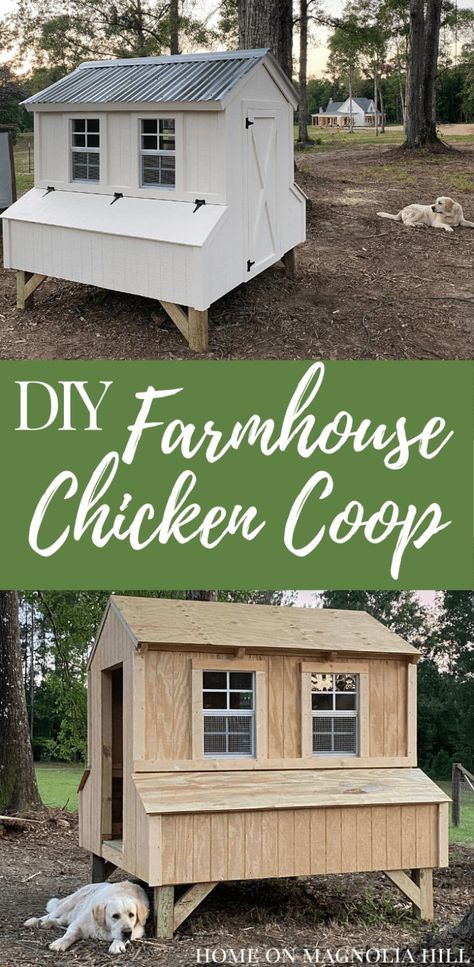 Chicken Coop Designs Easy To Clean, Diy Enclosed Chicken Coop, Chicken Coop Ideas For 12 Chickens, Six Chicken Coop, Diy Big Chicken Coop, Best Diy Chicken Coop, Craftsman Style Chicken Coop, Small Chicken House Diy, Diy Chicken Coop 20 Chickens