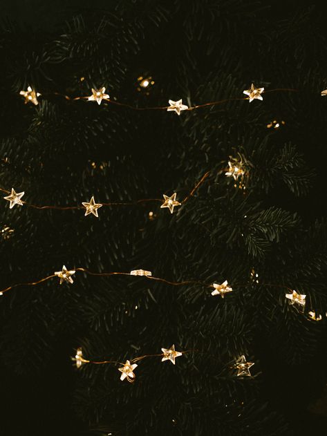 Lighted white star string light photo – Free Christmas Image on Unsplash Christmas Lights Wallpaper, Christmas Tree Wallpaper, Xmas Wallpaper, Dark Christmas, New Year Wallpaper, Christmas Phone Wallpaper, Cute Christmas Wallpaper, Holiday Wallpaper, Wallpaper Iphone Christmas