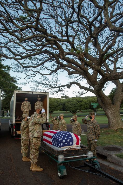 #RememberTheFallen During a disinterment ceremony at the National Memorial Cemetery of the Pacific in Honolulu, Hawaii, members of the Defense POW/MIA Accounting Agency pay respects to service members whose remains were discovered after being lost during the #KoreanWar. Military Tools For Yahoo, Paul Lacamera, Scam Pictures, Marines In Combat, Burned Hand Pic, Best Special Forces, Military Office, Pictures Of Soldiers, Army Medic