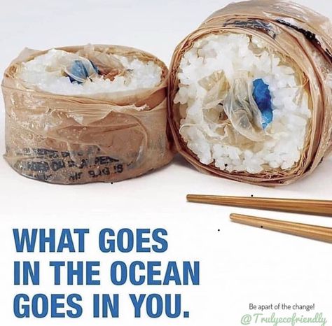 What goes in the ocean goes in you!  This is a very powerful picture!  Plastic is NOW in our food chain, think about that for a minute!  How have we even let it get this bad?  Leave a comment below and tell us your thoughts? (Thanks to @trulyecofriendly for the amazing picture) . . . #plasticwastesolutions  #savetheocean  #savethesealife  #saveus #whatgoesintheoceaceangoesinus Sea Pollution, Surfrider Foundation, Ocean Pollution, Graphisches Design, Trash Art, Publicidad Creativa, Water Pollution, Environmental Pollution, Marine Environment