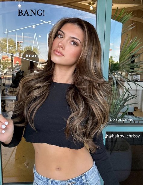 Hair Color Ideas For Dark Brown Hair Balayage, Hair Colour Inspo Brunettes, Brownie Batter Hair Color Highlights, Latina Blonde Hair Olive Skin, Rambut Brunette, Beige Hair, Black Hair Balayage, Timeless Looks, Brown Hair Looks