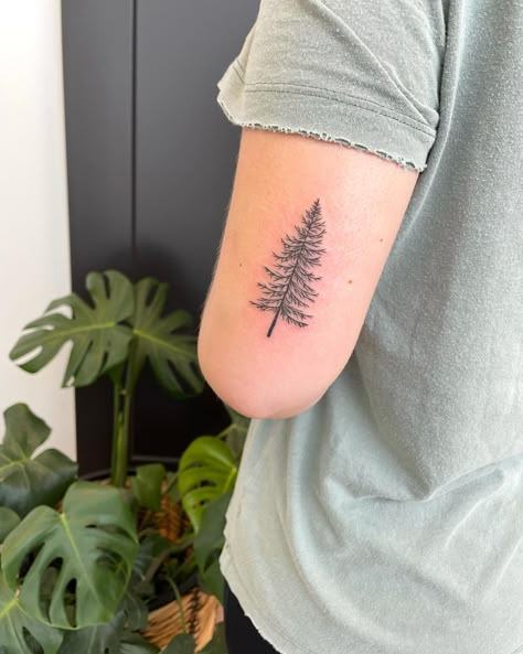 20 Stunning Pine Tree Tattoo Ideas for Men & Women in 2024 Tree Tattoo Ideas For Men, Tree Tattoo Ideas, Matching Tattoos For Siblings, Winter Tattoo, Pine Tattoo, Tree Tattoo Forearm, Tree Tattoo Men, Wedding Band Tattoo, Sparkle Tattoo