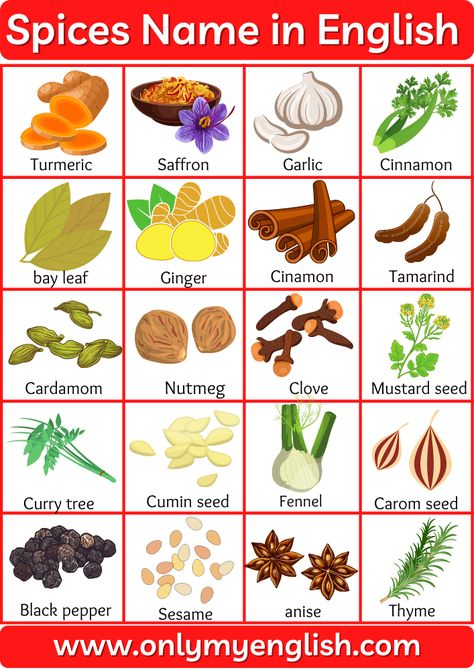 Spices Name: List of Spices Name with Pictures and images in american english Name Of Spices In English, Indian Spices List, Food Names In English, Names Of Spices, Sentence English, Spice Names, Types Of Spices, List Of Spices, Short Conversation