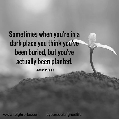 Sometimes when you're in a dark place you think you've been buried, but you've actually been planted. ― Christine Caine Funny Words Of Wisdom, In A Dark Place, Christine Caine, Lunch Notes, Plants Quotes, Dark Places, Funny Words, Wall Quotes, Inspiring Quotes