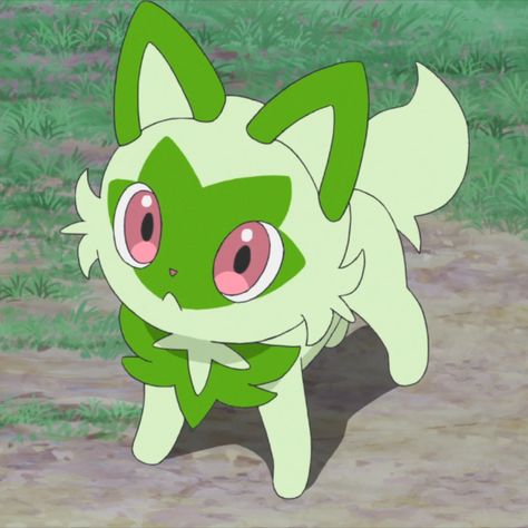 Pokemon Sprigatito Evolution, Sprigatito Pfp, Sprigatito Pokemon, Pokemon Cat, Pokemon Sprigatito, Cat Pokemon, Green Pokemon, Pokemon Oc, Cute Pokemon Pictures