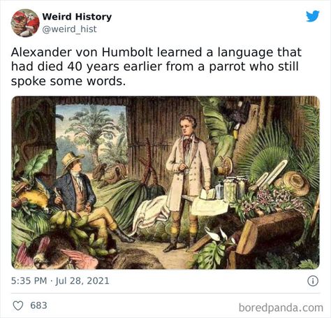 Weird History Facts, Weird Pics, Weird History, Historical Nonfiction, Literature Humor, History Project, Change Your Perspective, History Facts Interesting, Strange History