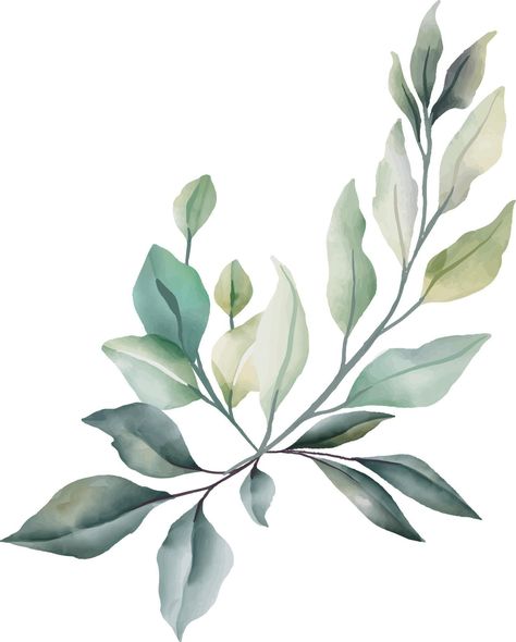 Leaves, flowers in watercolor for decoration. Lime green and gray color. Flowers In Watercolor, Leaf Watercolor, Vector Infographic, Verde Lima, Leaf Border, Leaf Designs, Green And Gray, Watercolor Plants, Infographic Template