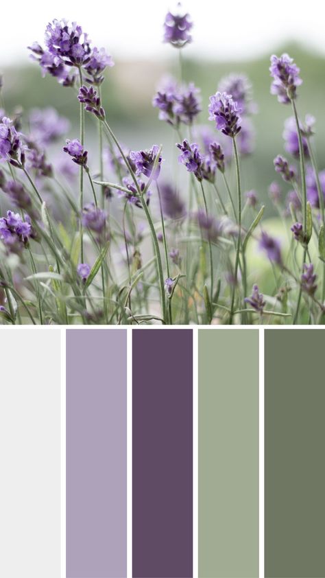 Flowers Color Palette, Lavender Color Palette, Lavender Room, Wedding Color Pallet, Purple Palette, Purple Color Schemes, Sage Green Bedroom, Purple Color Palettes, Color Pallete