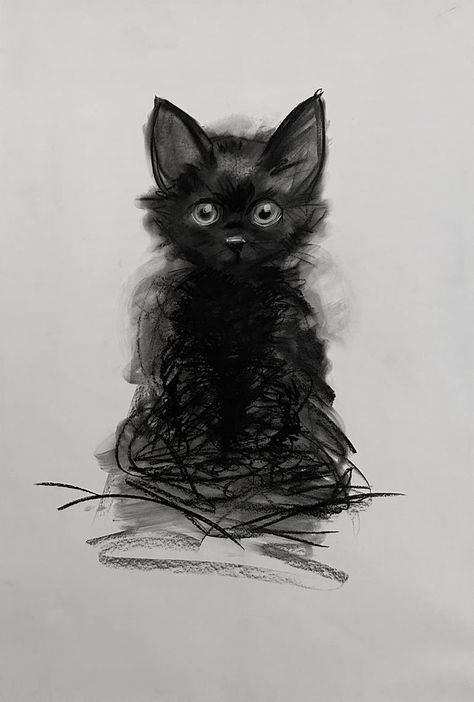 Easy Charcoal Drawings, Charcoal Drawing Tutorial, Black Cat Drawing, Charcoal Artwork, Cats Art Drawing, Raw Emotion, Graphite Art, Art Charcoal, Charcoal Drawings