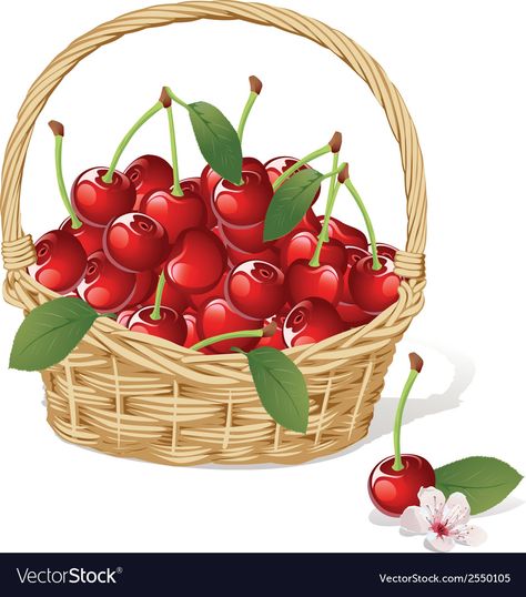 Cherry basket Royalty Free Vector Image - VectorStock Event Food, Cherry Print, Card Banner, Poster Invitation, Kitchen Wall Decor, Premium Photo, Watercolor Illustration, Picnic Basket, Presentation Templates